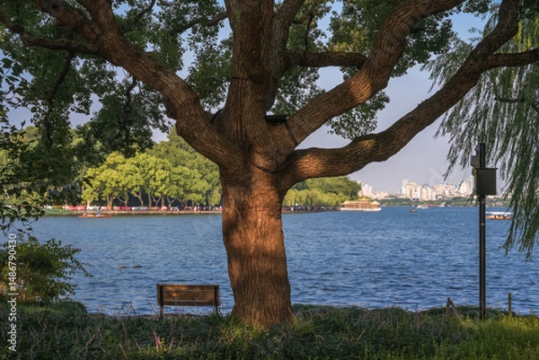 Obraz Tranquil Lakeside Scene with Ancient Tree
