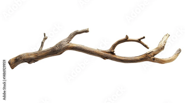 Fototapeta Rustic Wooden Branch Isolated on PNG Transparent Background
