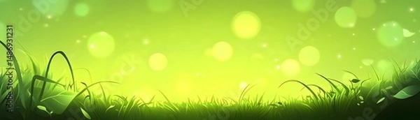 Fototapeta Lush green grass field illuminated by soft light.