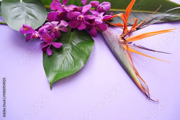 Obraz Colorful tropical leaves and flower composition on purple background. Summer and tropical plant decoration background.