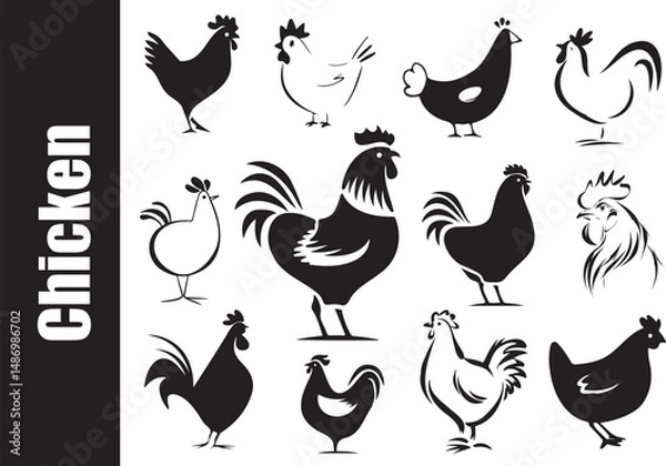 Fototapeta Set bundle Chicken Silhouette and Outline Vector In style of whimsical cute hand drawn illustration For farm animal craft design, t-shirt printing, nursery decoration, country lifestyle and minimalist