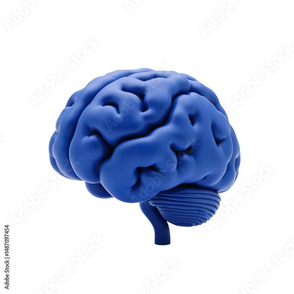 Obraz 3d rendered illustration of a brain with transparent background clipart