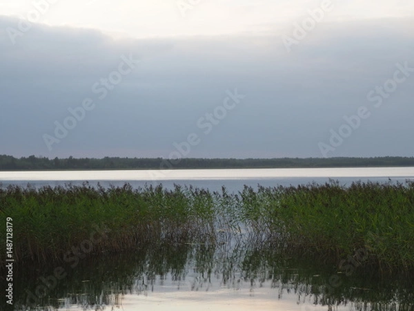 Fototapeta Nature view with lake, reeds and sky. Rain cloud over lake. Environment and ecology