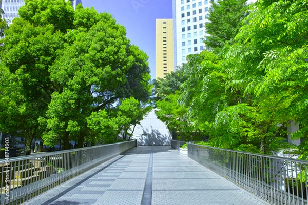 Fototapeta 新緑の西新宿オフィス街