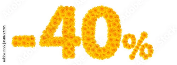 Fototapeta -40% Dandelions isolate