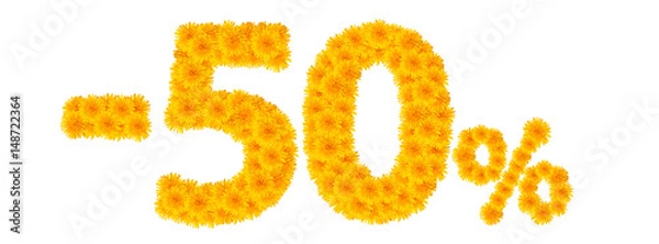 Fototapeta -50% Dandelions isolate