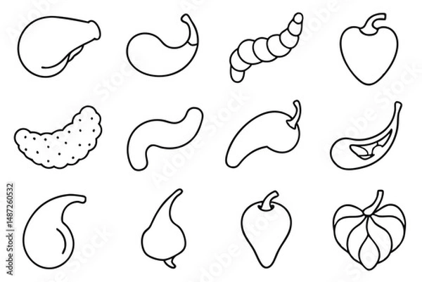 Obraz Gallbladder Surgery Procedure Line art