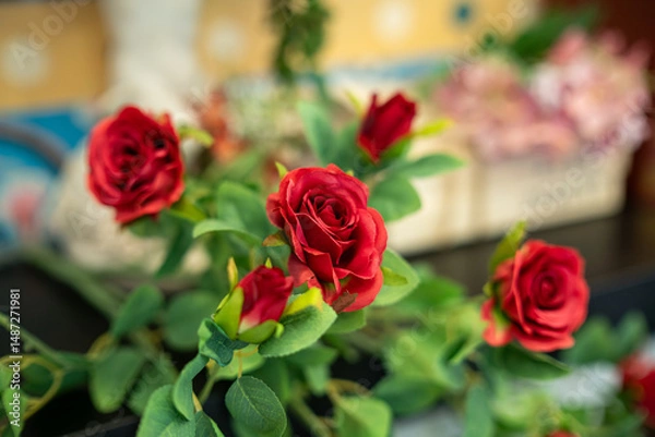 Obraz Red rose flower blooming in rose's garden Decoration in home interior, modern loft style or coffee shop at the cafe