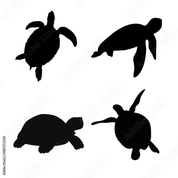 Obraz black and white turtle silhouette image