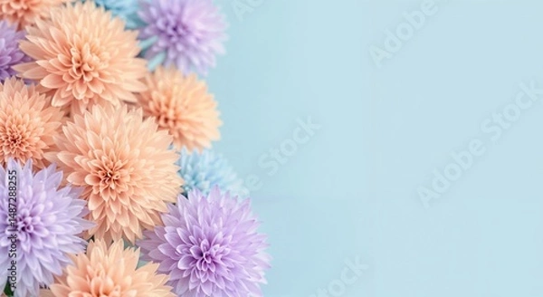 Fototapeta Colorful flowers arranged on blue background for decoration  