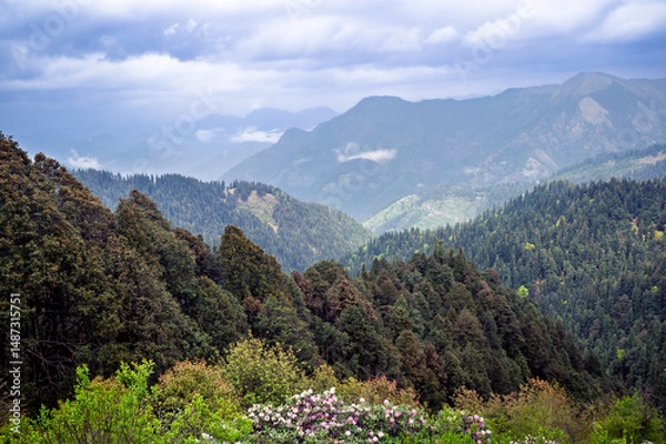 Obraz Mountain landscape with flowers. Himalayan Mountain landscapes are a favourite for hikers and nature enthusiasts alike, such as the Shoja Jalori Pass Raghupur Fort, Himachal Pradesh, India.
