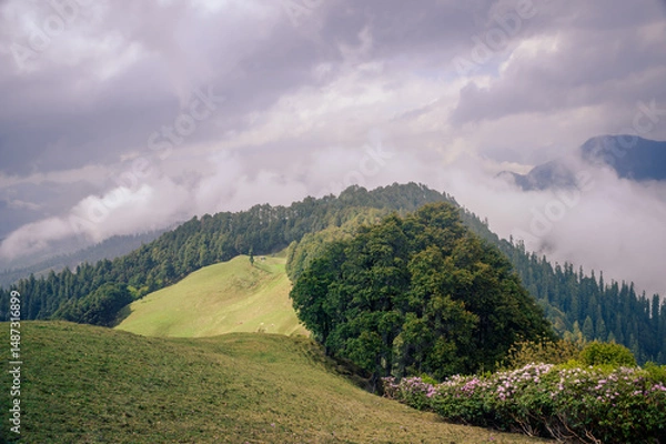 Fototapeta Landscape in the mountains. Himalayan Mountain landscapes are a favourite for hikers and nature enthusiasts alike, such as the Shoja Jalori Pass Raghupur Fort, Himachal Pradesh, India.
