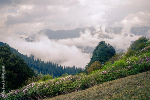 Obraz Mountain landscape with clouds. Himalayan Mountain landscapes are a favourite for hikers and nature enthusiasts alike, such as the Shoja Jalori Pass Raghupur Fort, Himachal Pradesh, India.

