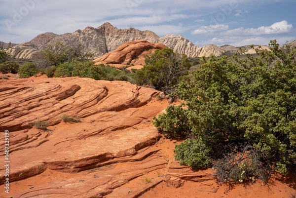 Obraz View of red rocks in Snow Canyon National Park, Petrified Dunes Trail, St. George, Utah. USA. 