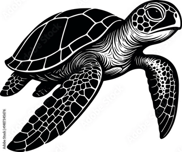 Fototapeta Turtle vector silhouette design