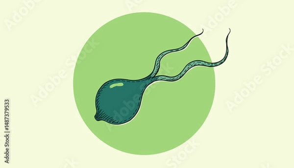 Obraz Stylized illustration of a sperm cell in a circular green background
