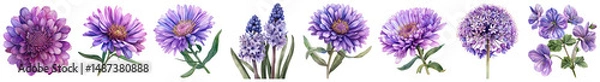 Fototapeta Beautiful array of purple flowers showcasing diverse shapes and textures, perfect for nature lovers and floral designs