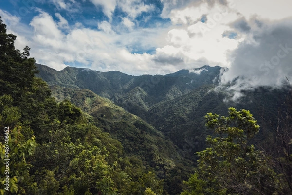 Fototapeta View of the jungle in Flores island Indonesia