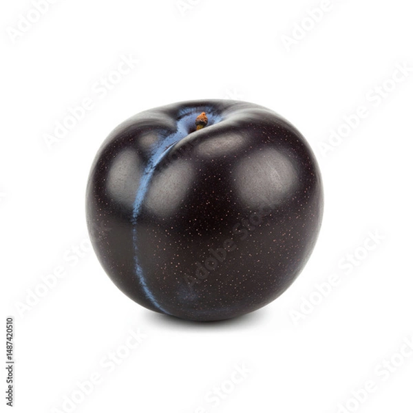 Obraz Single black plum fruit isolated on white background.