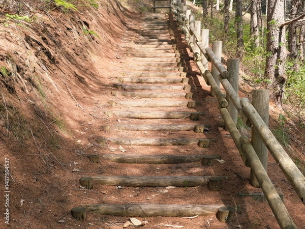 Obraz 初夏の遊歩道の階段