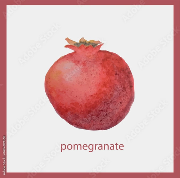 Fototapeta Pomegranate watercolor postcard on light grey stock vector illustration for web, for print