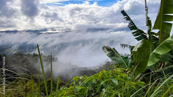 Fototapeta tropical mountain landscape and valley at dawn covered with clouds and fog