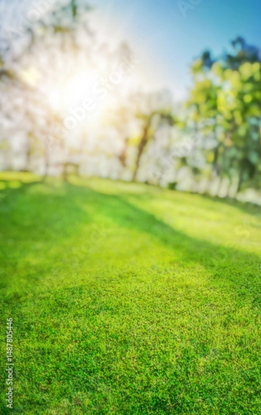 Fototapeta green natural grass background with sun rays and spring branches with leaves