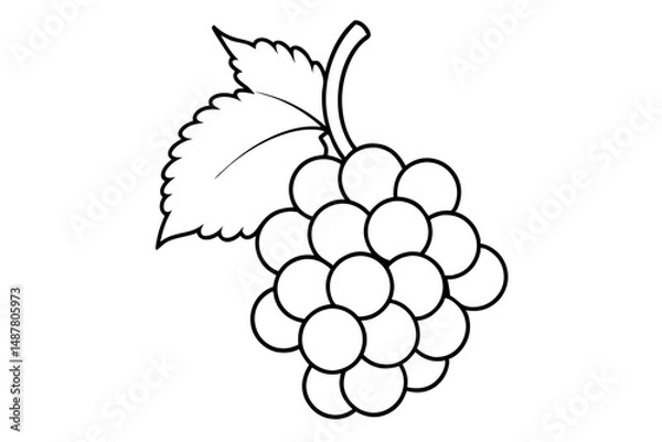 Fototapeta grapes silhouette line art vector illustration with a white background