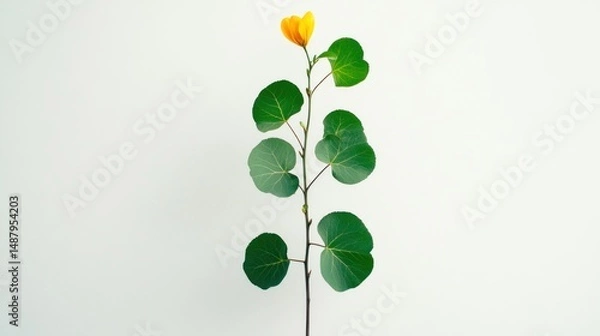 Obraz A vibrant plant reaching upward