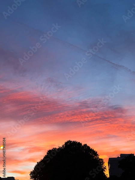 Fototapeta Vibrant pink and orange sunset illuminating evening sky