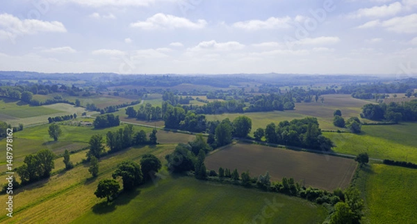 Obraz Panorama des champs