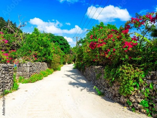 Obraz ブーゲンビリアの咲く竹富島（沖縄県竹富町）