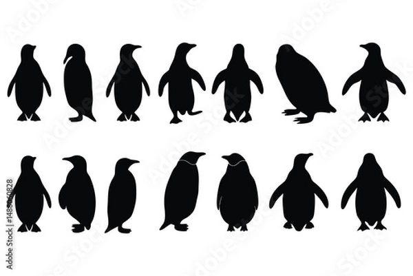Fototapeta Collection of Penguin Silhouettes in Various Poses