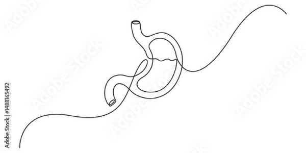 Obraz Stomach one continuous line drawing anatomy concept on white background. Single line art stomach minimalism vector illustration