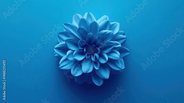 Fototapeta Monochromatic Blue Dahlia Bloom Artistically Displayed on a Solid Blue Background