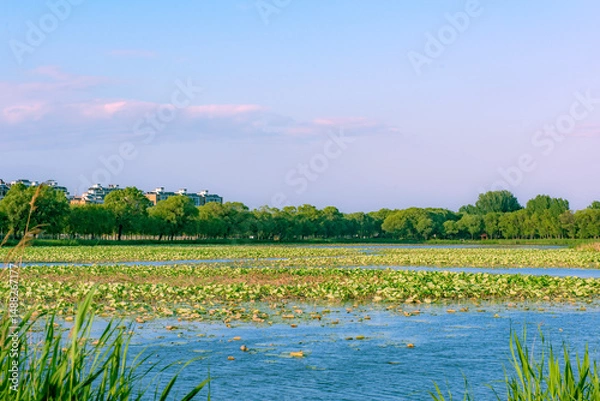 Obraz Skyline Landscape of North China Waterfront Cities