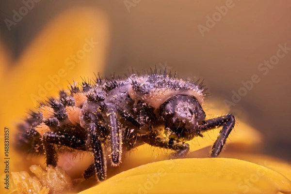 Obraz larva de mariquita en macro extremo