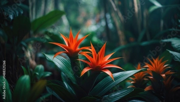Fototapeta Understanding Bromeliaceae: A Diverse Family of Monocot Flowering Plants with 80 Genera and 3700 Species