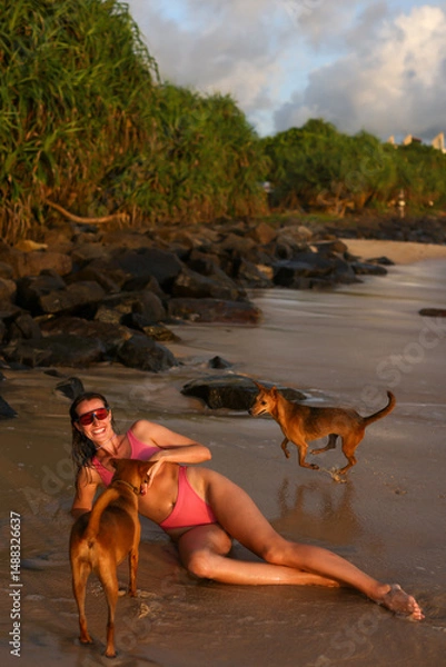 Fototapeta Enjoying Playful Moments and Adventures on the Beach with Our Beloved Dogs and Pets