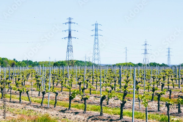 Obraz Champ abzacois