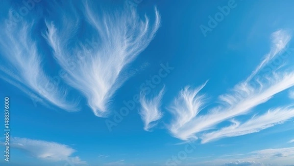 Fototapeta Elegant sky background showcasing unusual cirrus formations in the azure sky