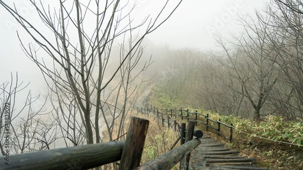 Obraz mysterious road