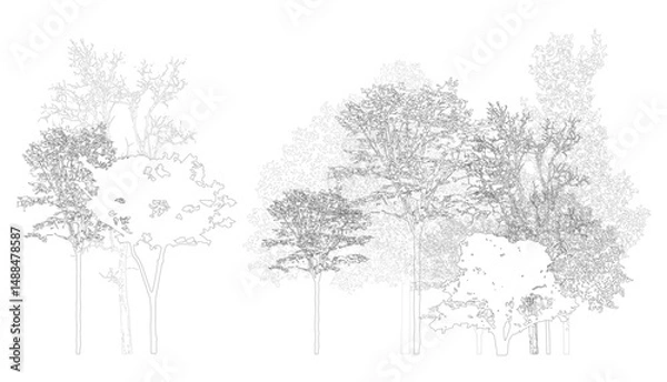 Obraz Architectural Drawings, Minimal style cad tree line drawing, Side view, set of section wetland forest outline for landscape design drawing. Vector illustration in seperate element
