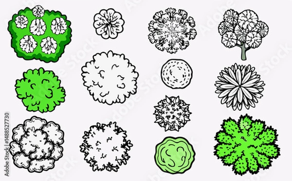 Fototapeta Top View Collection of Trees and Shrubs for Landscape Design