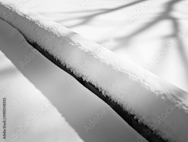 Fototapeta Snow Covered Log with Branch Shadows