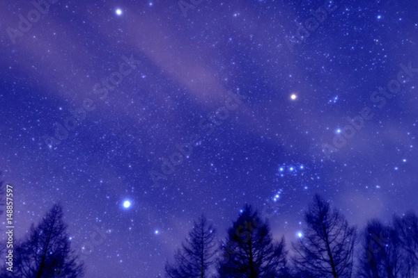 Fototapeta 森のオリオン座