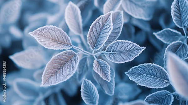 Fototapeta Frosty Leaves Close-Up with Frost and Ice in Beautiful Detail
