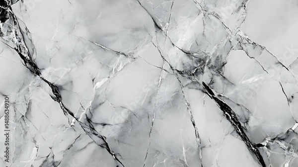 Fototapeta Elegant White and Gray Marble Texture with Veins and Patterns