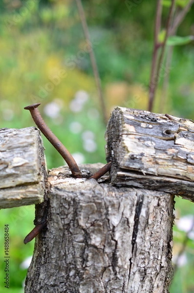 Obraz rostiger Nagel