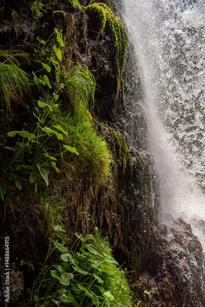Obraz under the waterfall